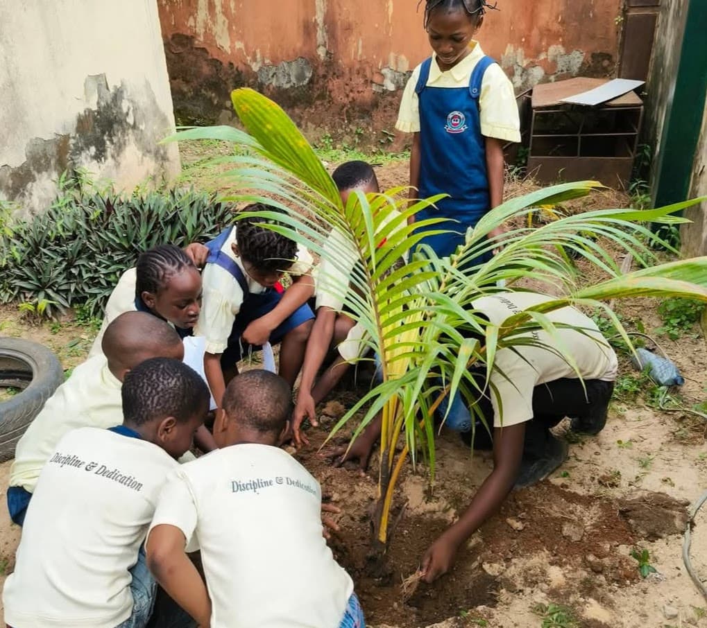 Nigerian Kids Planting Trees at School