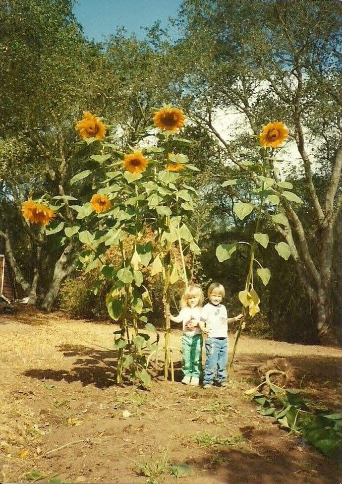 Little Hands Planting Seeds
