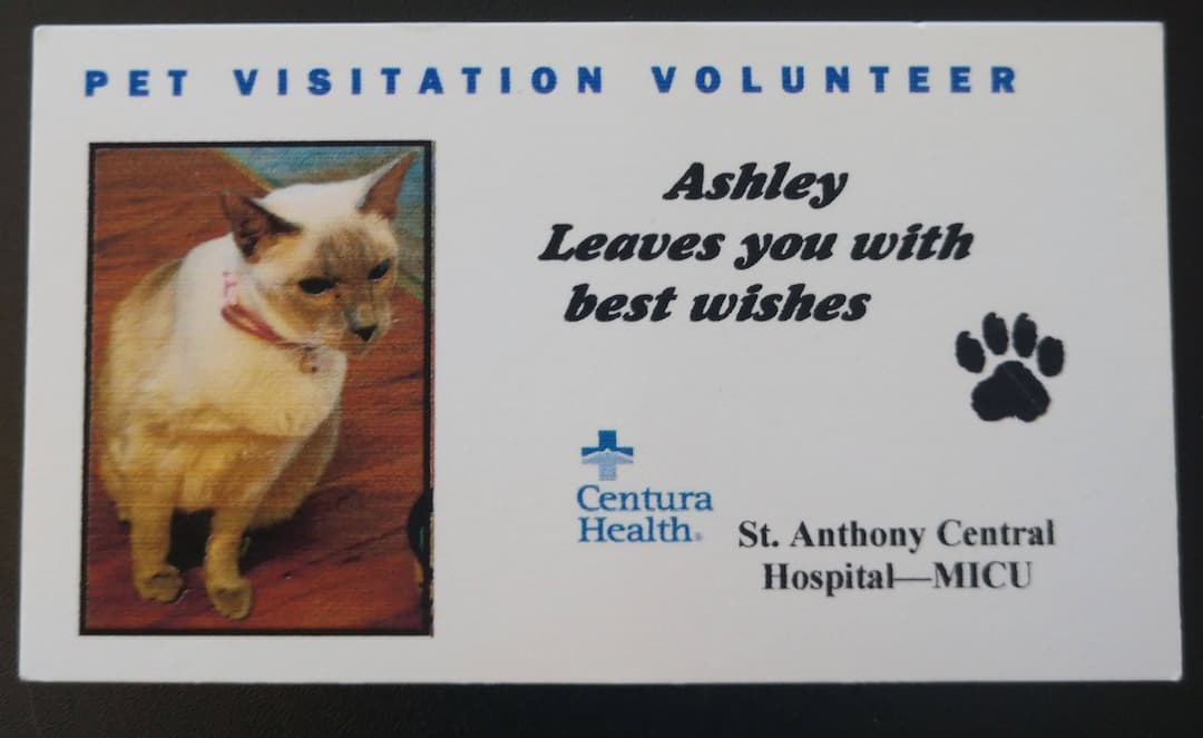 A Therapy Kitty- Thank you, Ashley!