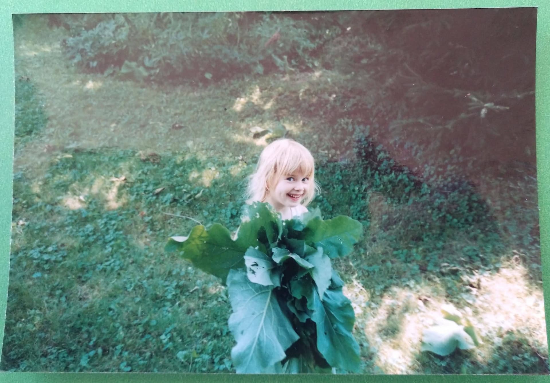 The Joy of Picking Your Vegetables and Flowers